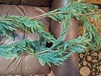 Review Image by Reviewer Reviewer