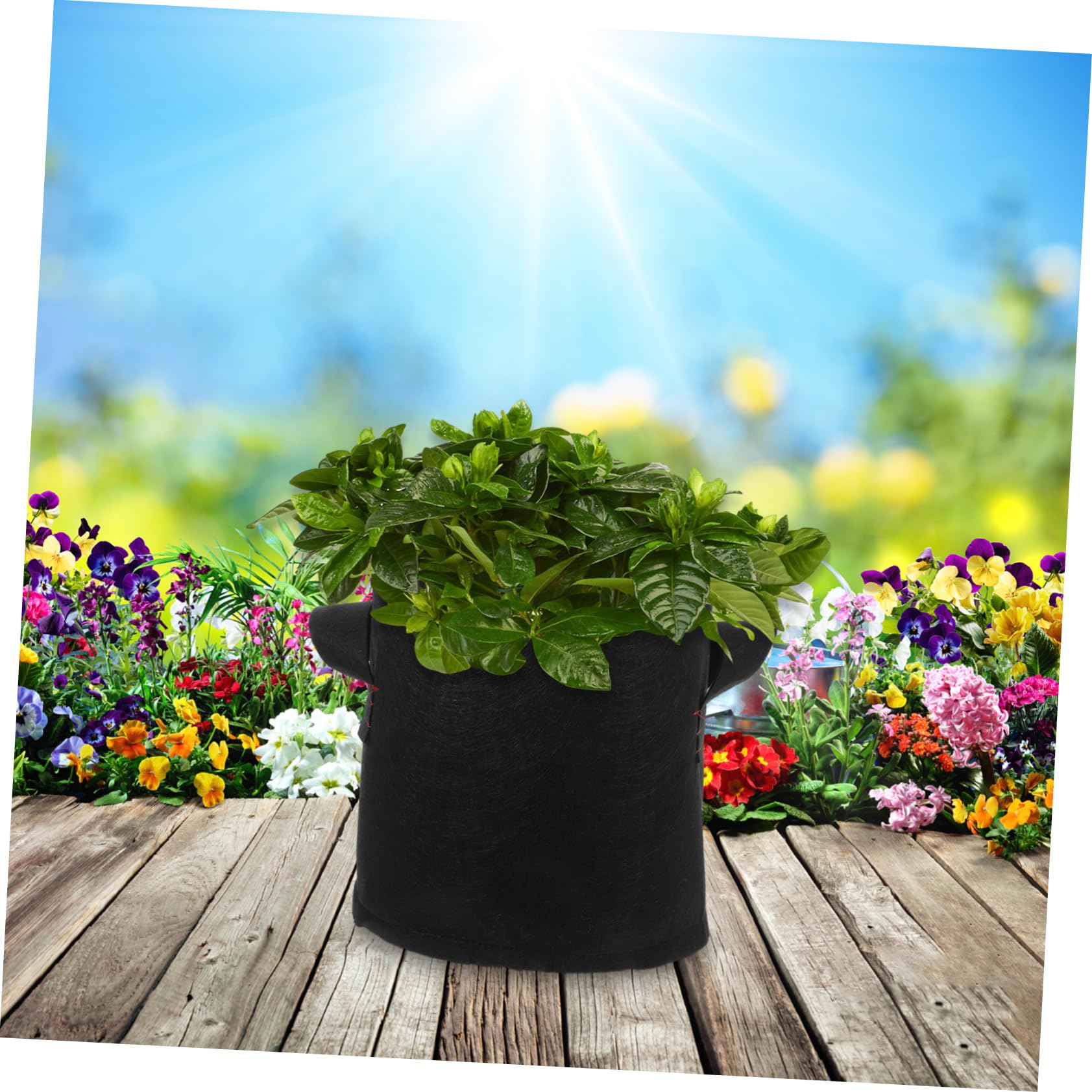 12 Bolsas de Cultivo de 3 Galones para Patatas Macetas para Jardín Macetas para Plantas Macetas para Cultivo de Verduras Tomates Cebollas Flores Y Frutas Varios Estilos