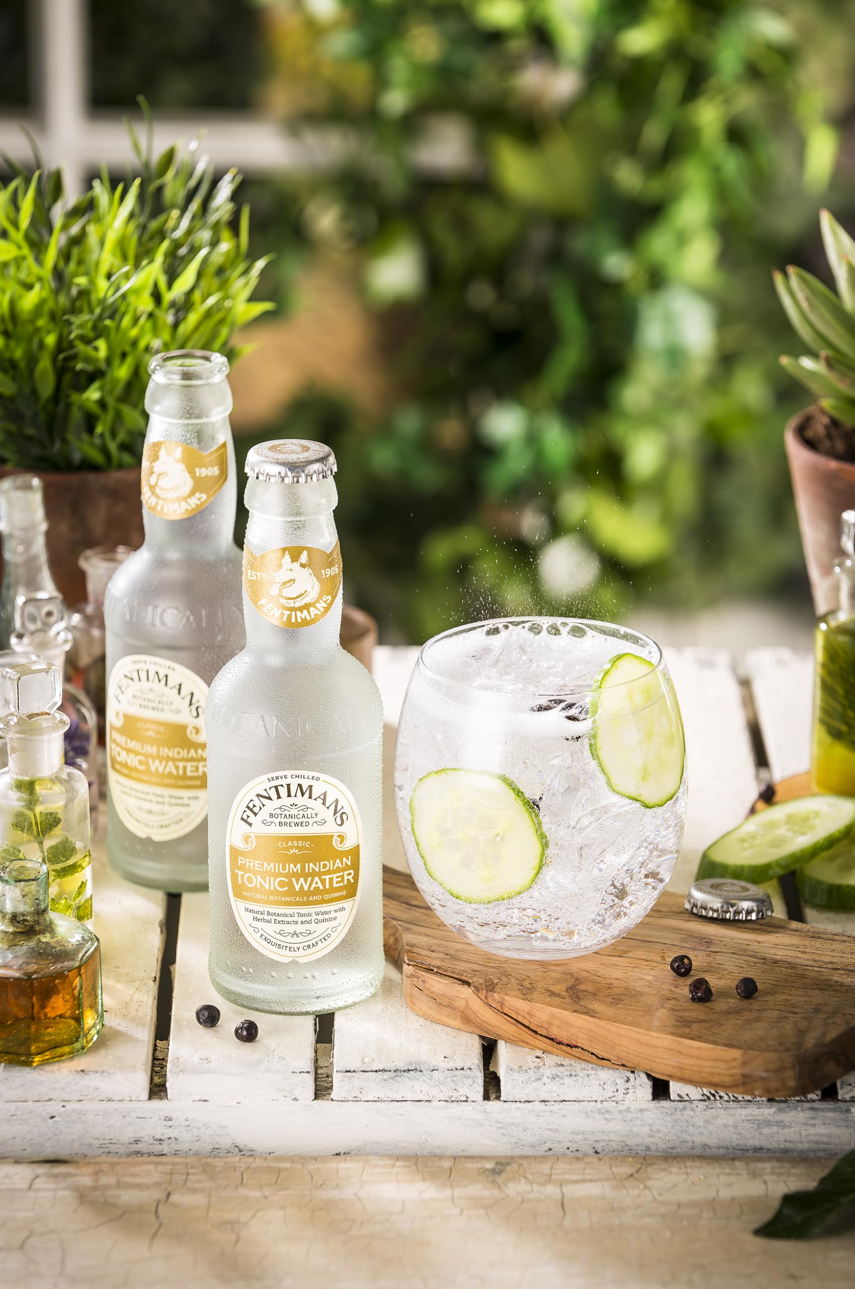 Fentimans Premium Indian Tonic Water, 200 ml, 24 Pezzi