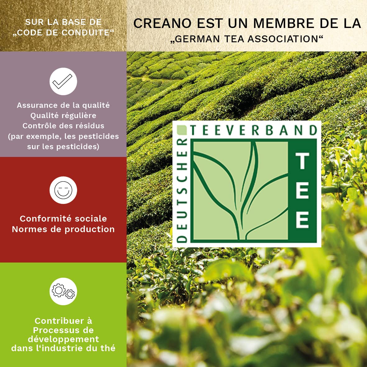 Creano Coffret Cadeau d'Or Fleurs de Thé Mix 6 pcs – Théière en Verre 500ml sans goutte – Thé Blanc, Vert & Noir – Idée Cadeau Femme, Maman, Anniversaire