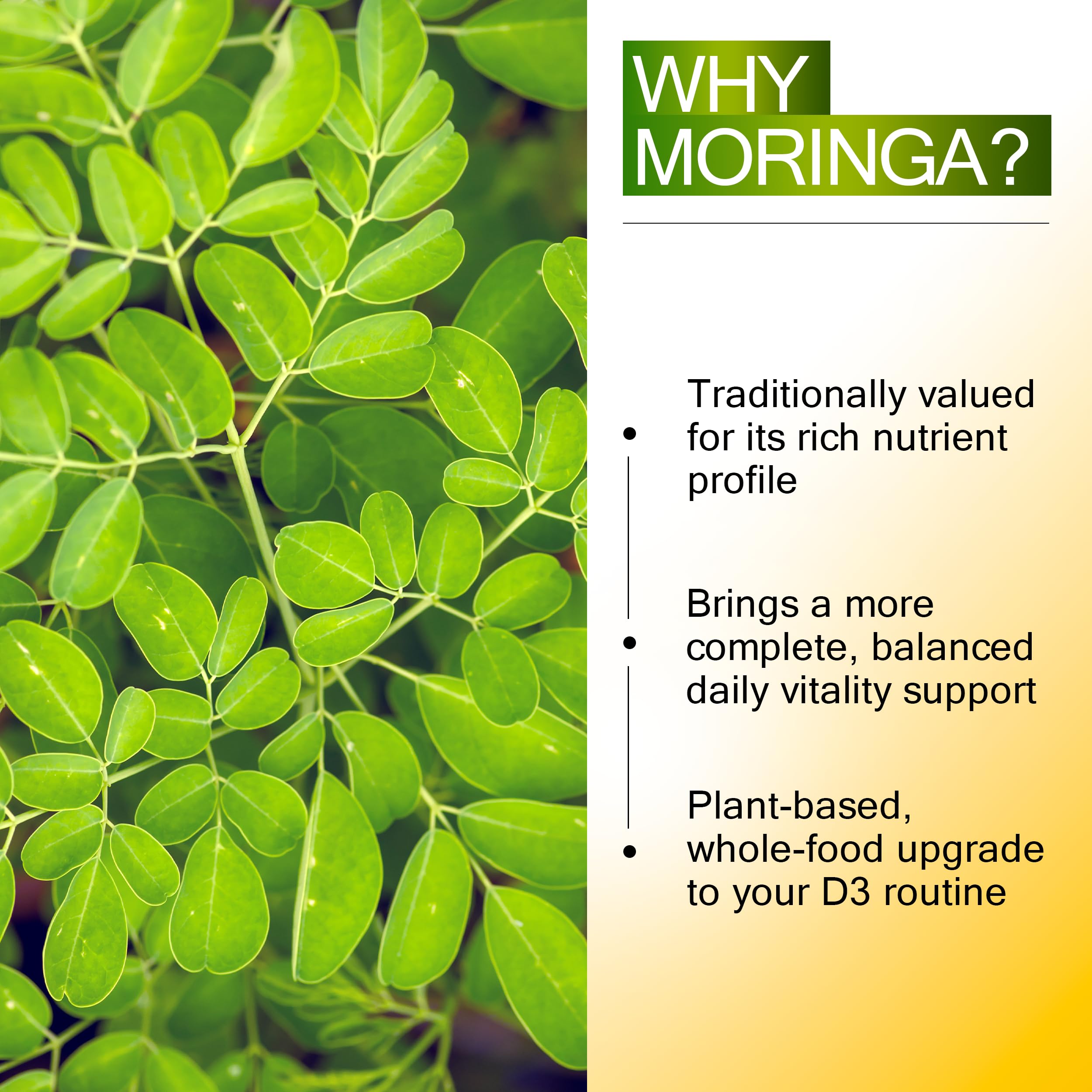 D3 K2 Vitamin 10,000 IU with Magnesium Glycinate 350mg, Zinc & Moringa — Amazon image 7