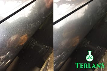 Terlans UV Protected Headlight and Body Polisher & Cake Polish 100 ml Headlight Restorer and Polish Cream