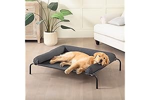 Cooling Elevated Dog Hammock