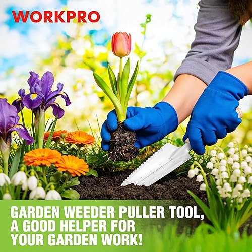 Miniatura 8 de WORKPRO Paleta de jardín con mango de madera, pala de mano estrecha de acero inoxidable, paleta de jardín plana multiusos para plantar, deshierbar,