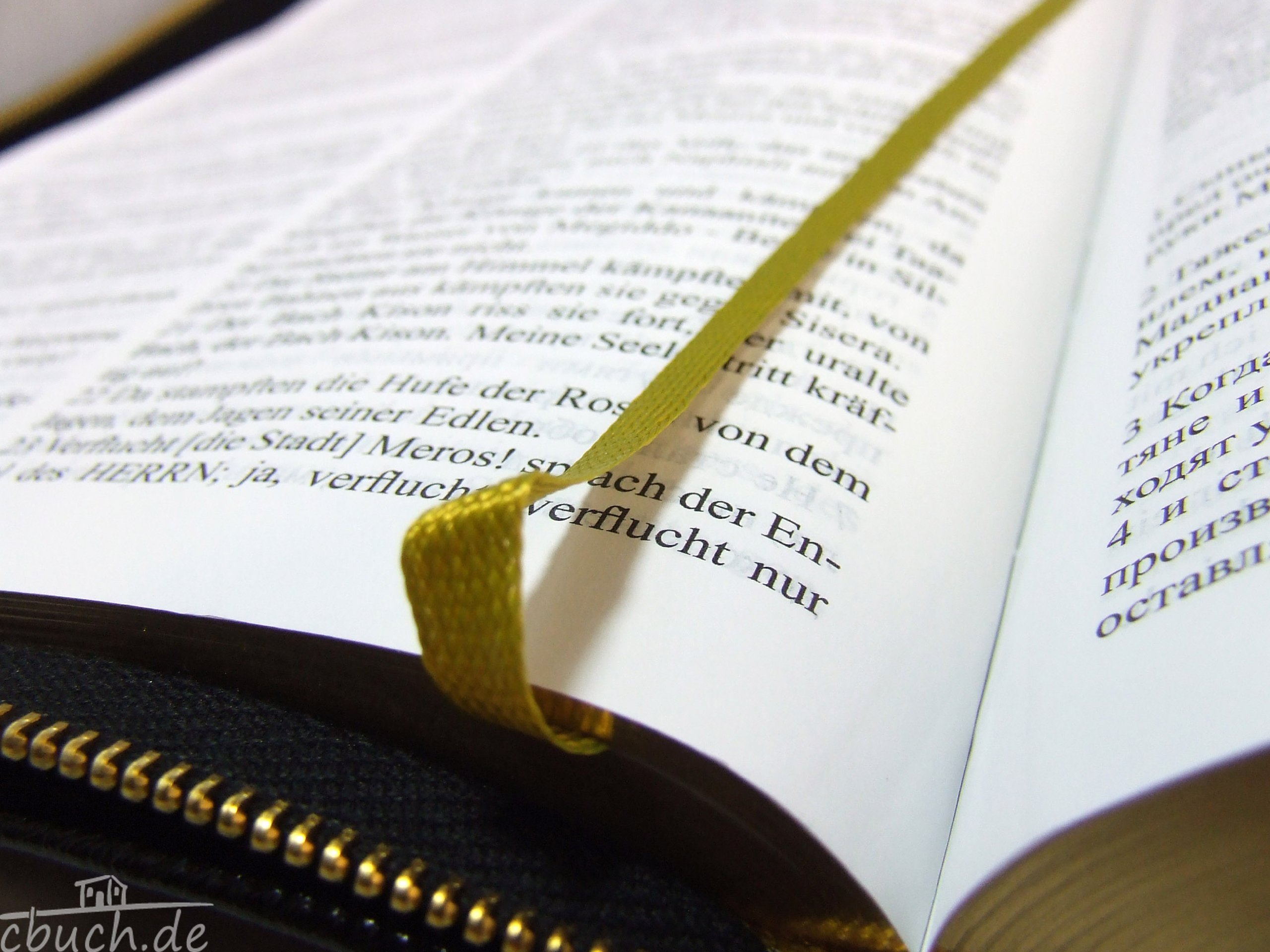 Die Bibel: Russisch-Deutsch mit Leder und Goldschnitt