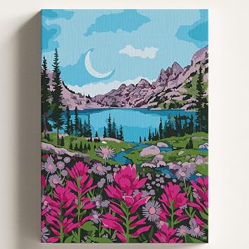 Say larla Boyama Tuval Hobi Seti G L MANZARASI Temal  F r a ve Boya Dahil Set  tal  40x50 CM Kendin Yap Say larla Tuval Boya Kiti KASNAKLI
