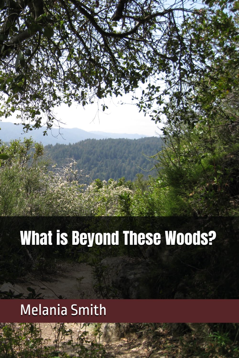 What is Beyond These Woods?