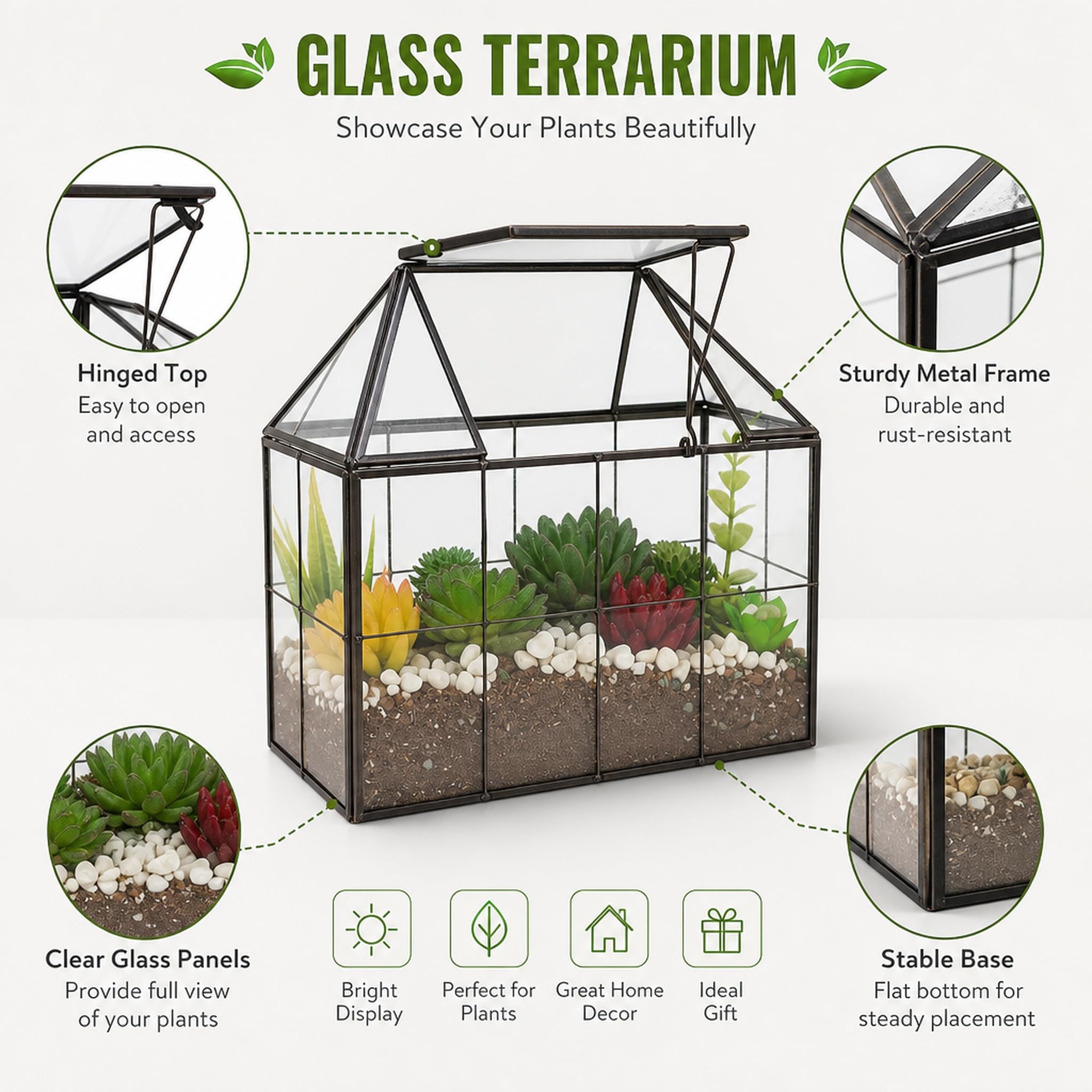 Ferrisland Terrario de Vidrio para Plantas de Aire, terrario de Vidrio para suculentas, Maceta geométrica Grande con Borde para suculentas, helechos, Plantas de Aire, Mesa, Regalo de Bricolaje,