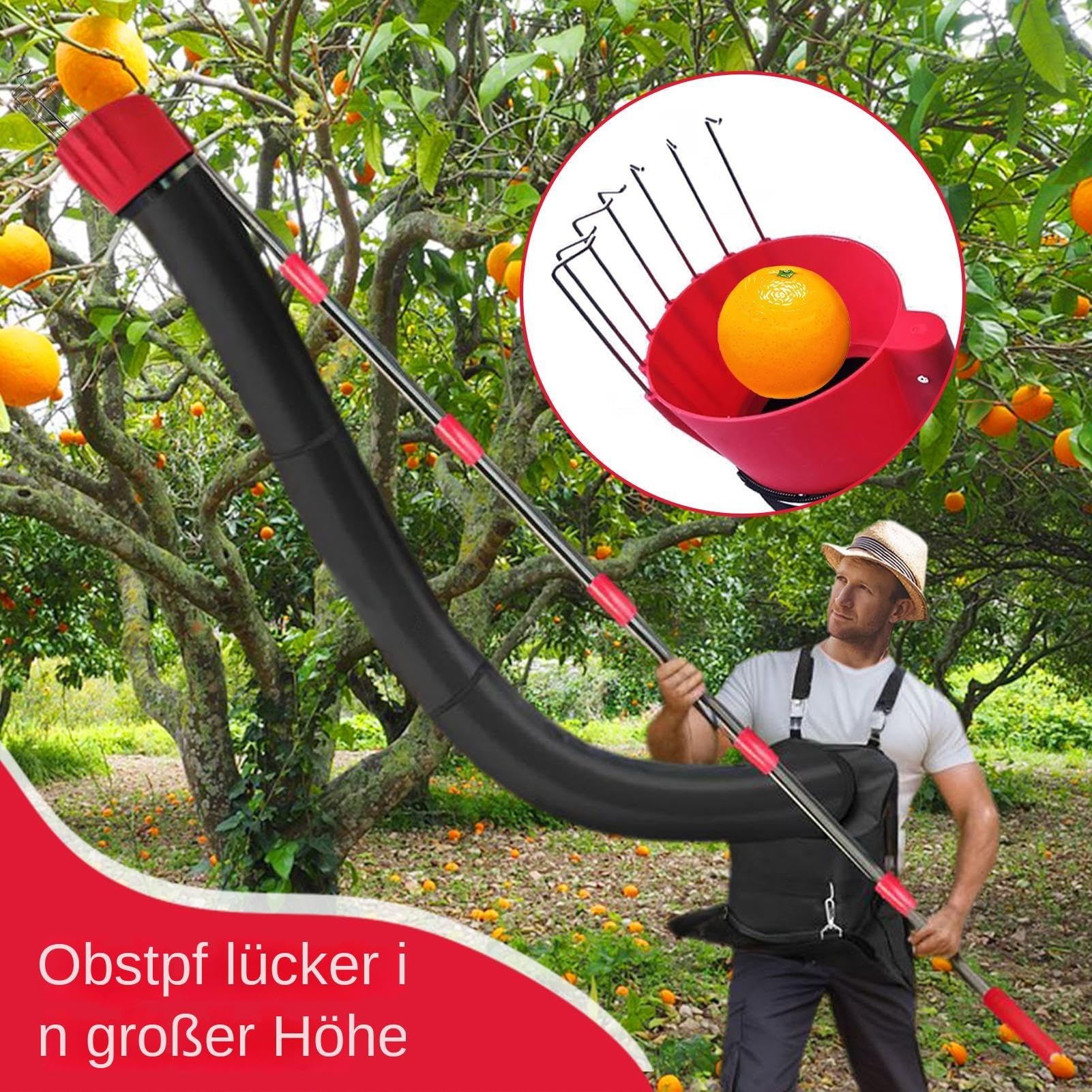 Recolector de frutas profesional,Recolector de árboles frutales Herramienta | Equipo recolector de frutas con embudo de recolección y rec