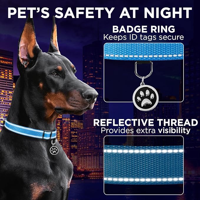 Collar Reflectante para Perro – Azul Cielo – Talla L – Nailon miniatura 4