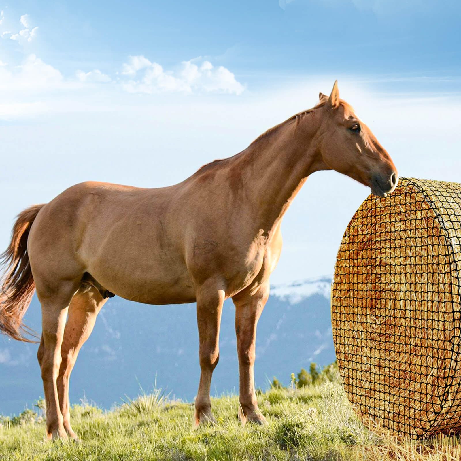 Heunetz Für Pferde & Ziegen – 1,5x1,5x1,5 M, Aus Nylon, 4,4 Cm Löcher – Zum Langsamen Füttern & Reduzieren Von Heuabfall