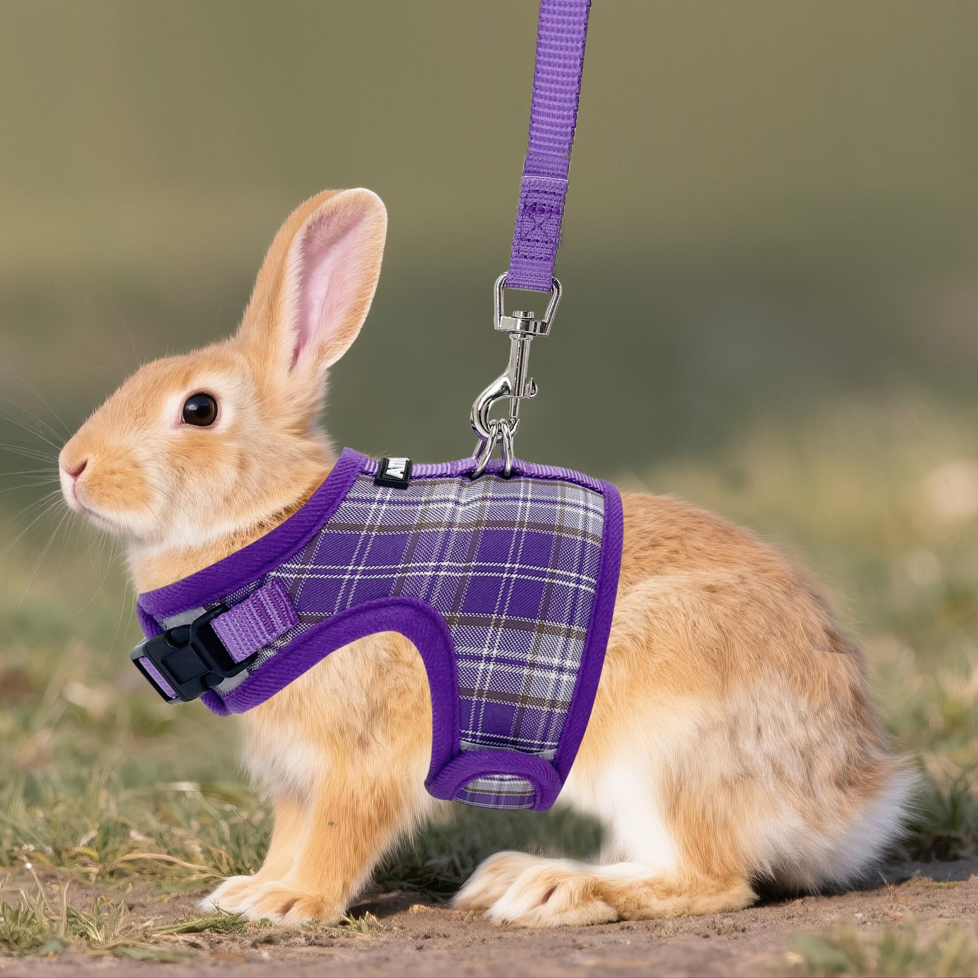AIITLE Ensemble de harnais et laisse pour lapin anti-évasion - Design à ruban magique, rembourrage en maille à motif à carreaux léger, sans étouffement ni traction pour chiot, chat, rat, écureuil