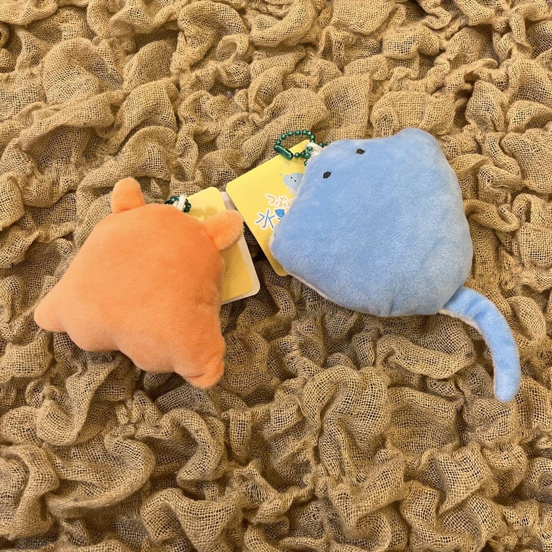 Amazon.co.jp: つぶらな瞳の水族館 メンダコ マンタ マスコット 可愛い