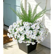 INSPRING White Artificial Morning Glory Flowers with Eucalyptus & Fern, 12 Bunches UV Resistant Faux Plants, Pure White Fake Flowers for Indoor Outdoor Home Patio Garden Yard Porch Decor