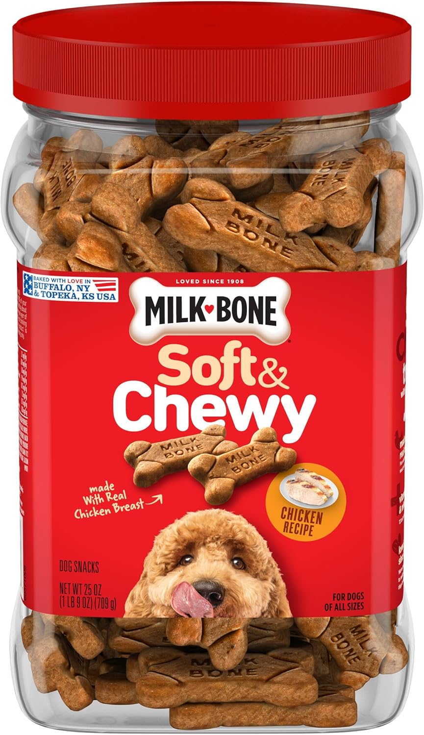 what can i feed my dog instead of dog food