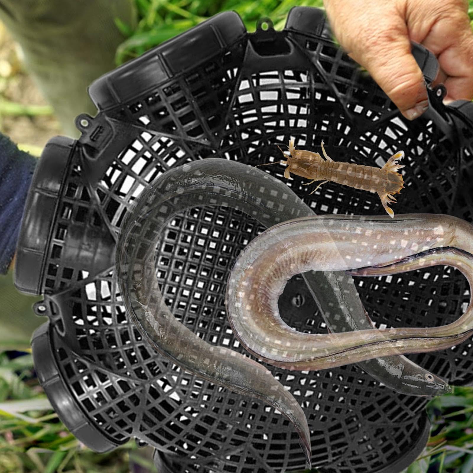Trappola Da Pesca A 5 Fori Per Gamberi E Anguille – Gabbia In PP Robusta E Leggera – 32x10 Cm – Facile Da Usare Per Laghi E Fiumi