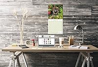 Vista 567 de Razas de Perros 2017