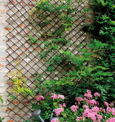 Miniatura 5 de Garden Land Valla extensible para jardín enrejada de sauce soporte para cerca para planta trepadora 36 x 92 pulgadas