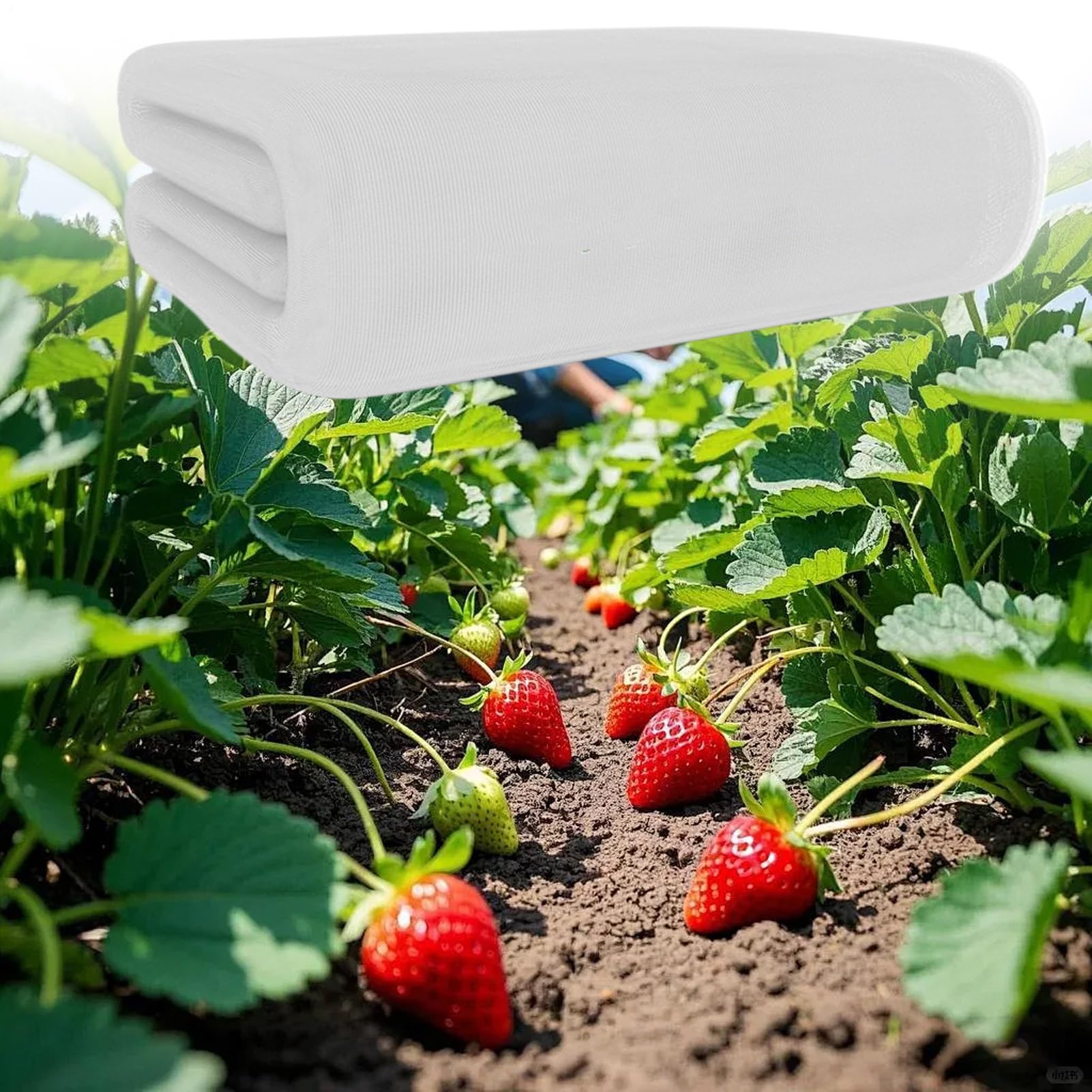 Malla De Red Para Plantas Barrera transpirable para animales