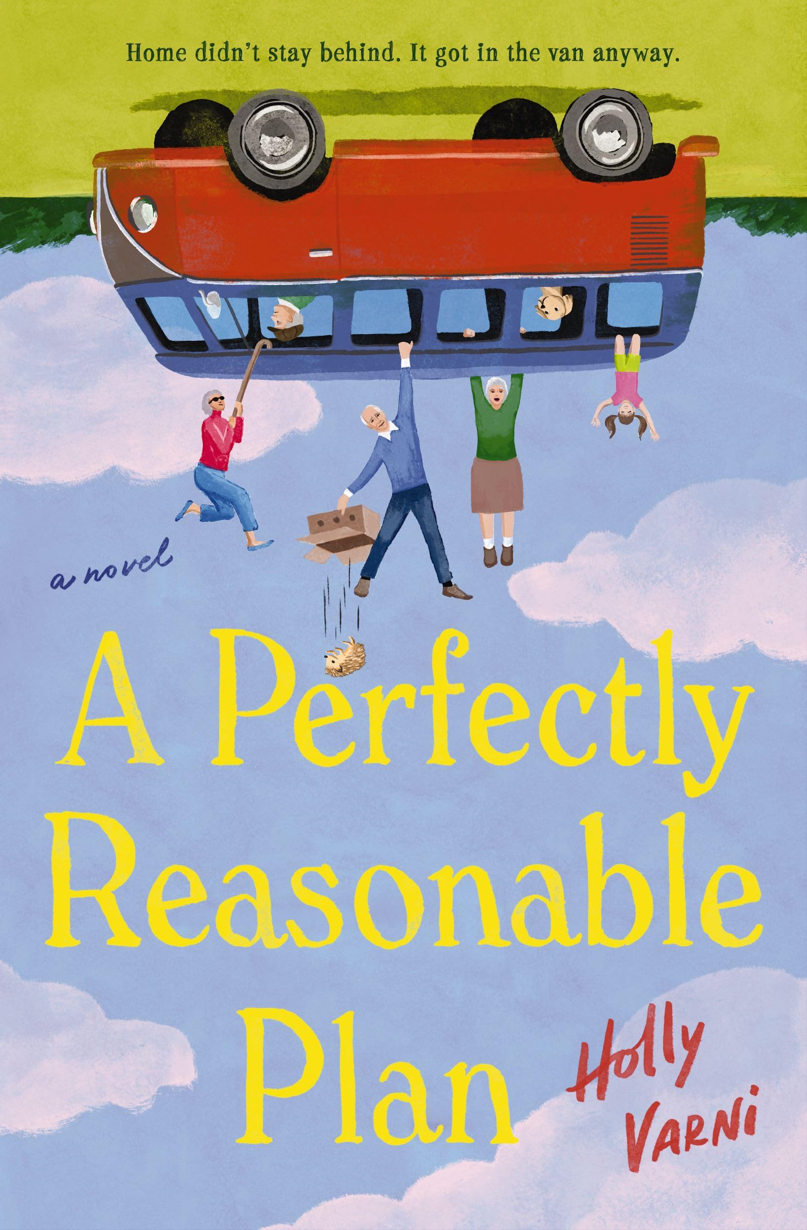 A Perfectly Reasonable Plan: A Novel