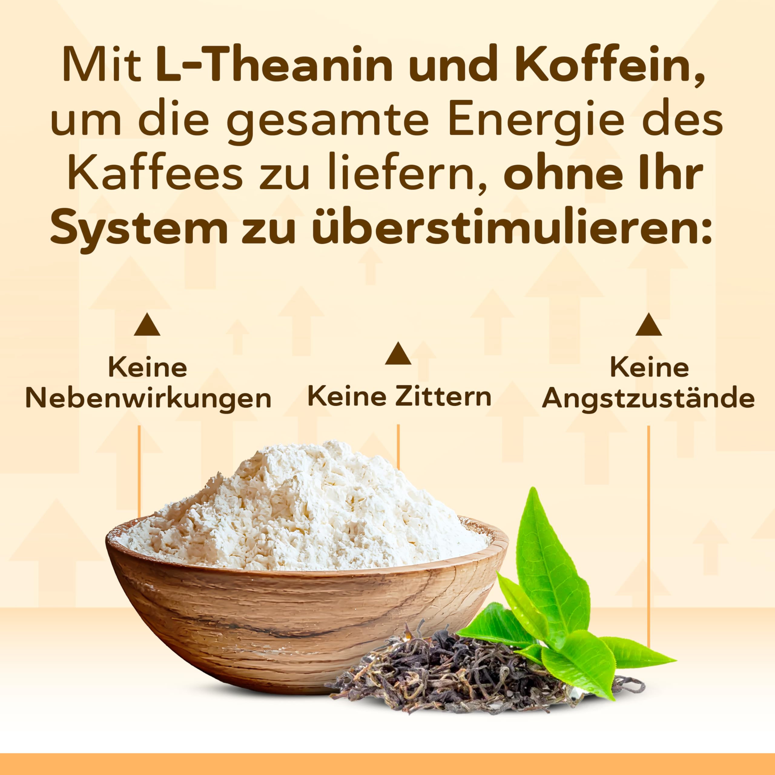 Nootropic – Fortschrittliche Formel zur Kognitiven Unterstützung mit Bacopa, Ginkgo, Tyrosin, Theanin, Koffein, B6 & B12