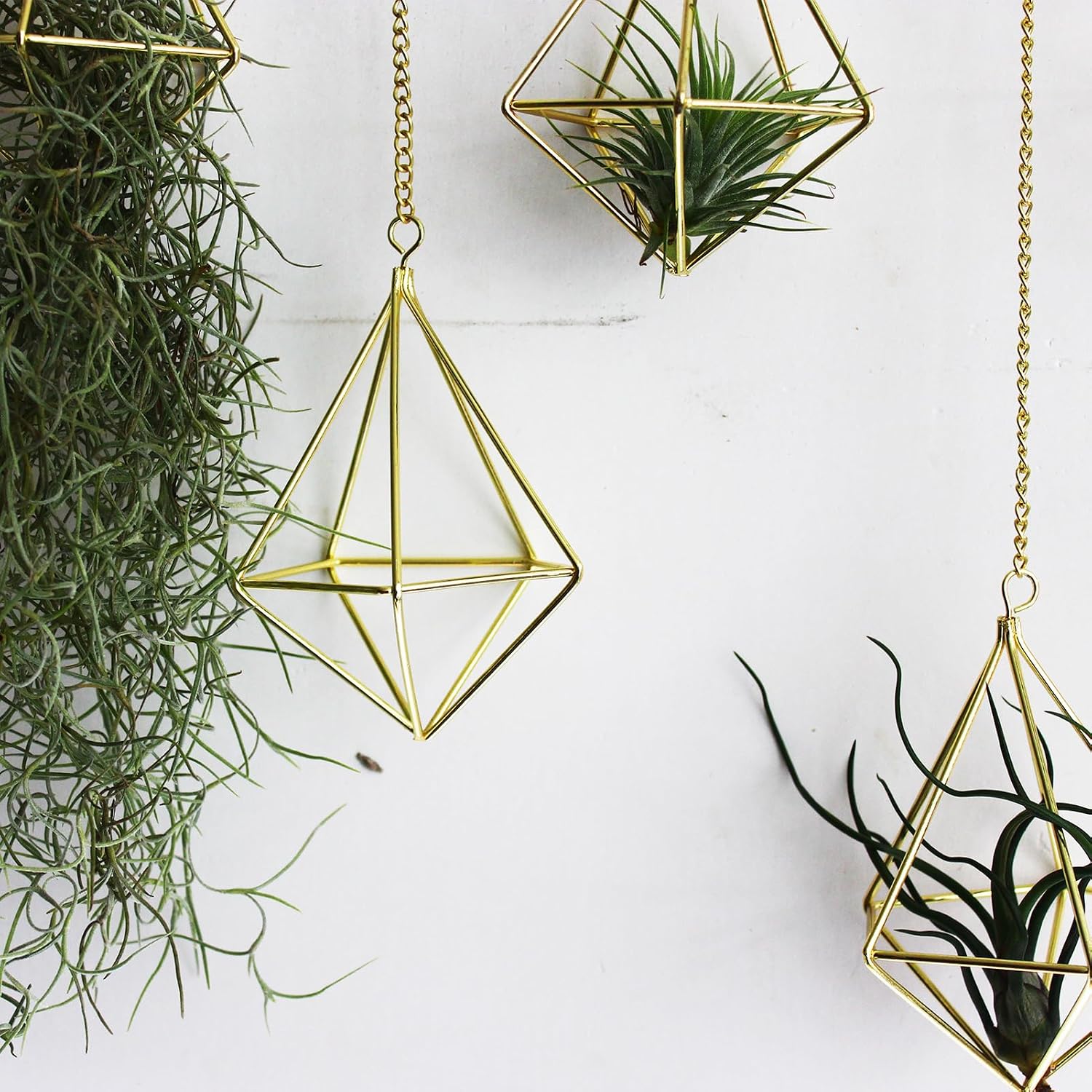 ZOOELAY Air Plants Live Holders 6 Pcs Glod Diamond Hanging Planter Small Air Plant Holders Unique with Chains Air Ferns Tillandsia Display for Indoor