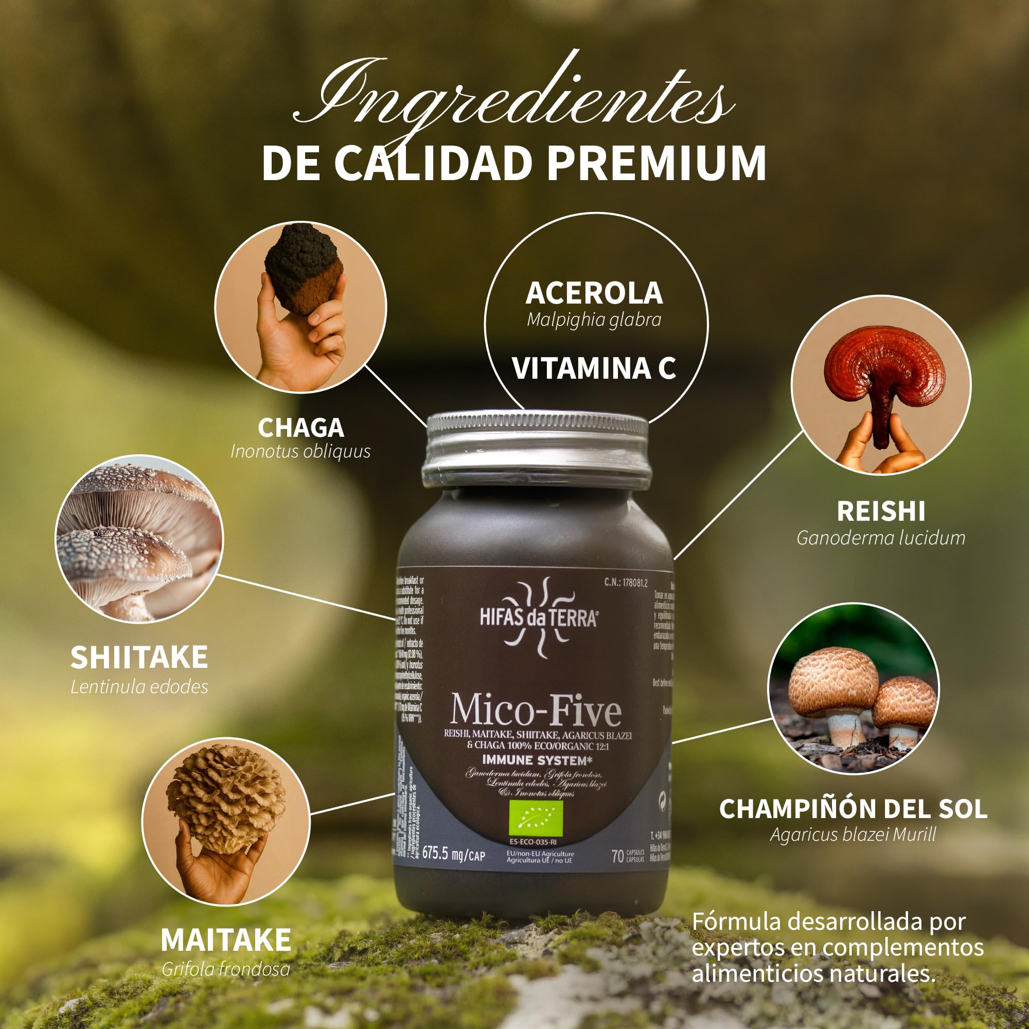HIFAS DA TERRA - Mico-Five - Extracto Puro de Reishi, Maitake, Shiitake, Champiñón del sol y Chaga con Vitamina C - Refuerzo inmunitario natural - Extracto de Hongos - Refill 60 Cápsulas