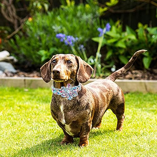 Miniatura 153 de Lionheart glory Collar de perro con bandera estadounidense, collar de flores para perro del 4 de julio, resistente y ajustable, collar patriótico