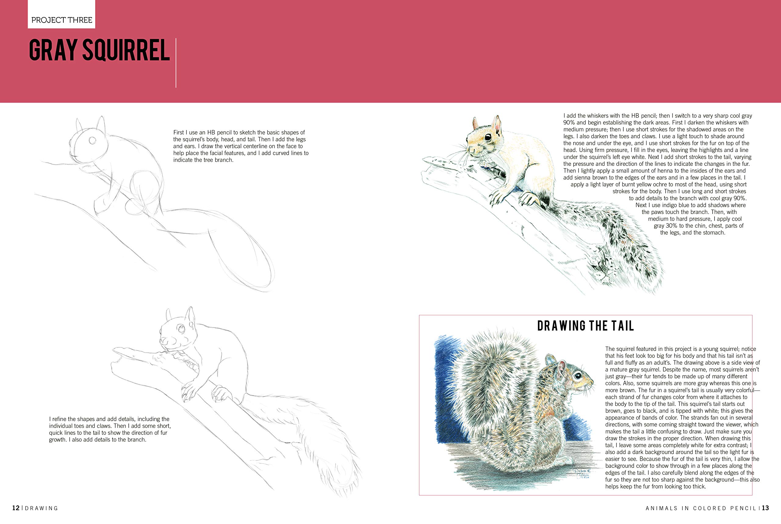 Drawing: Animals in Colored Pencil: Learn to Draw with Colored Pencil Step by Step