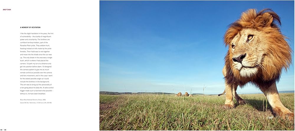 Amazon | The Wildlife Photographer of the Year: Masters of Nature