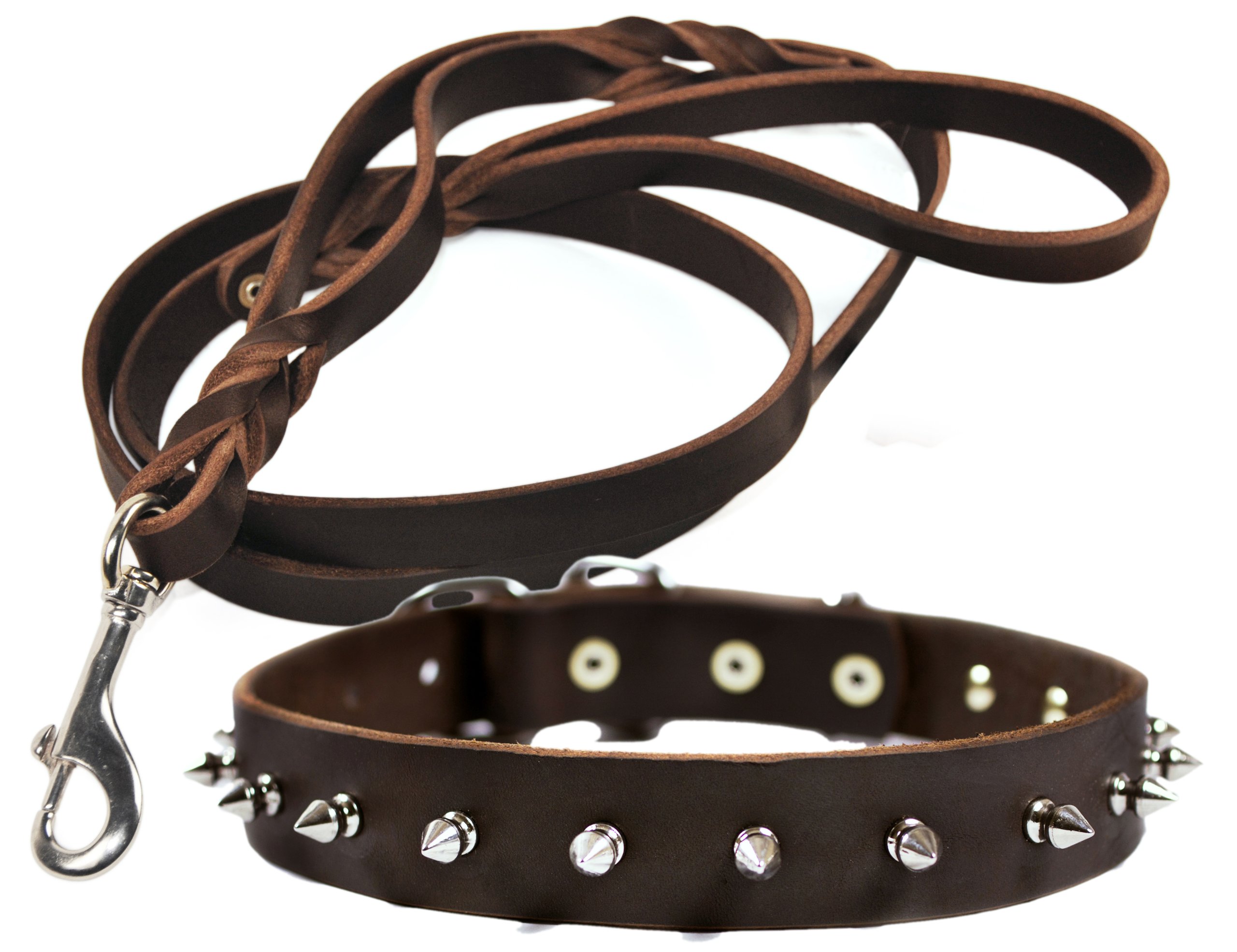 Laisse Braidy Bunch et collier à pointes pour balades en forêt
