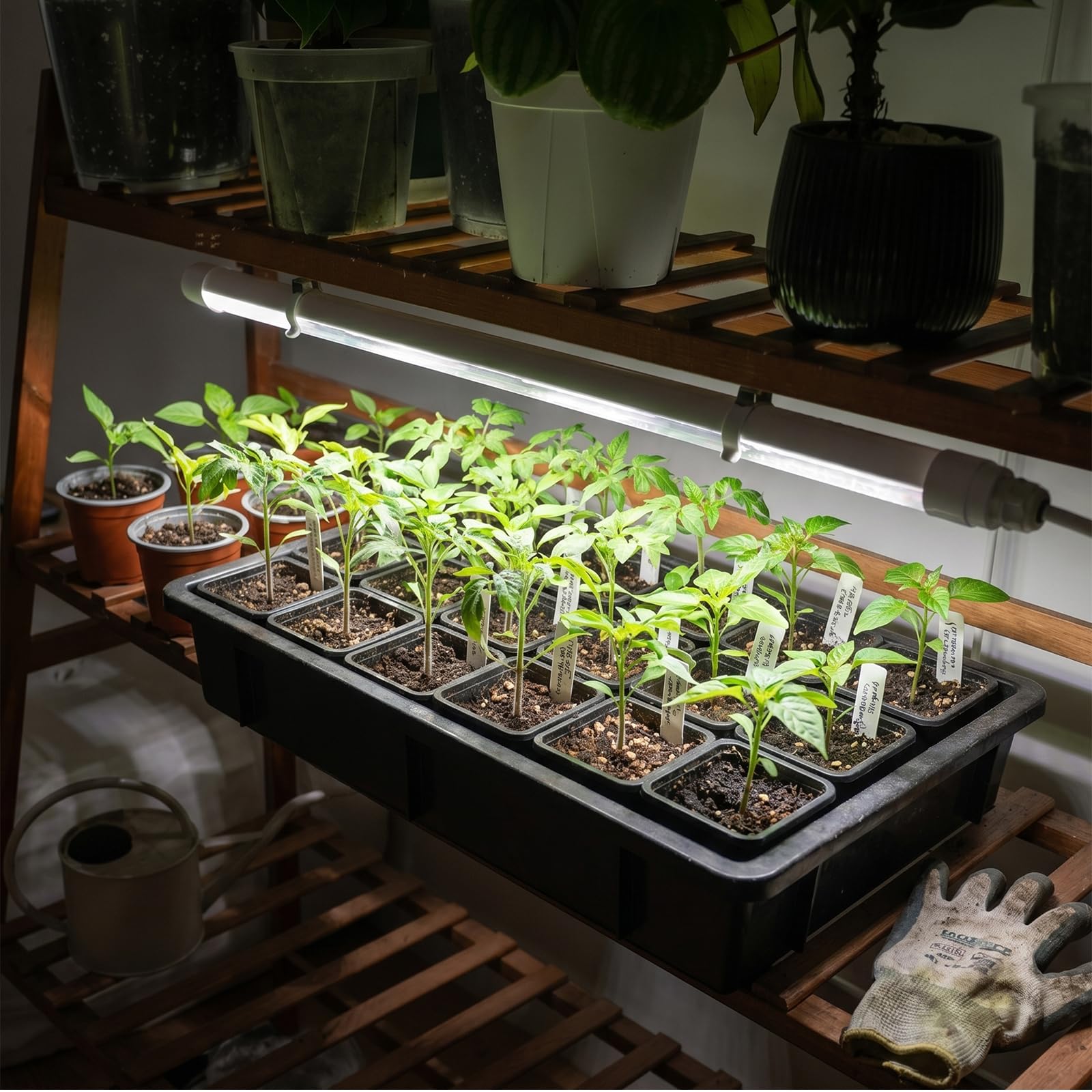 SANSI 15W Pflanzenlampe Vollspektrum, 42cm T8 Grow Lampe, IP54 Wasserdicht | für Zimmerpflanzen, 4000K Pflanzenlicht mit Entlüftungsventil für Aussaat, Pflanzenwachstum, Gewächshaus, Pflanzregale