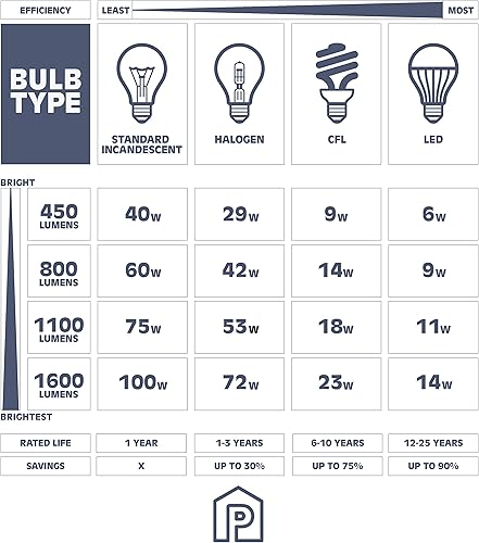 Miniatura 8 de Prominence Home Brightondale - 51557-01 - Lámpara industrial galvanizada al aire libre