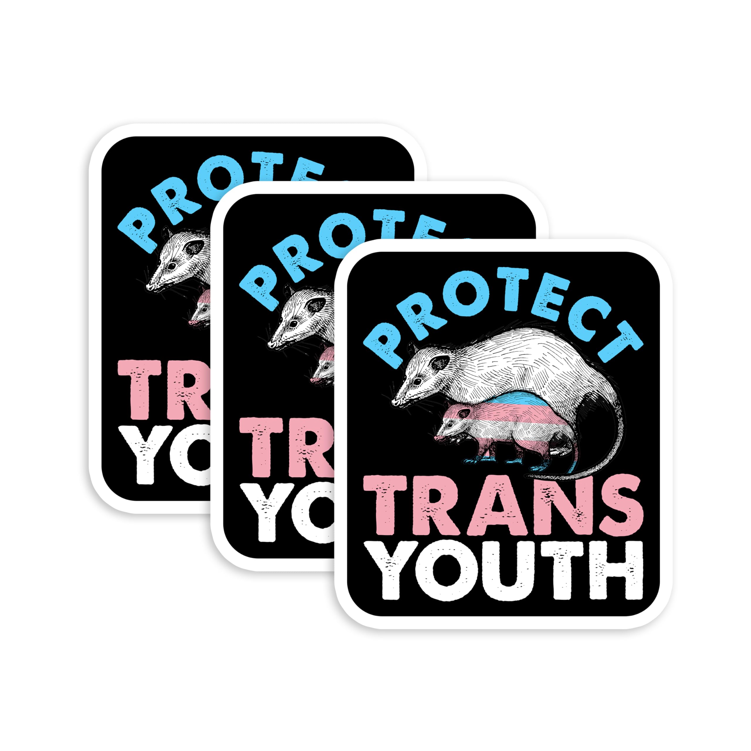 Set 3Pcs Protect Trans Youth Sticker Funny Opossum Trans Rights LGBTQ Bi Pride Sticker Bookish Kindle Waterproof 3 Inches Die-Cut Vinyl for Water Bottle Laptop Phone for Friend Coworker Mom