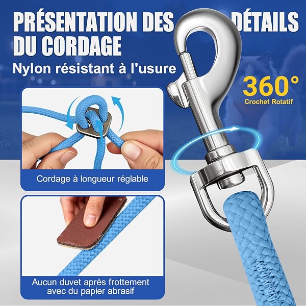 Set de Harnais pour Chien L avec Laisse 255cm – Harnais Robuste en Mesh Anti-Traction – Ajustement Parfait et Contrôle Sécurisé pour Chiens Moyens – Bleu - 5