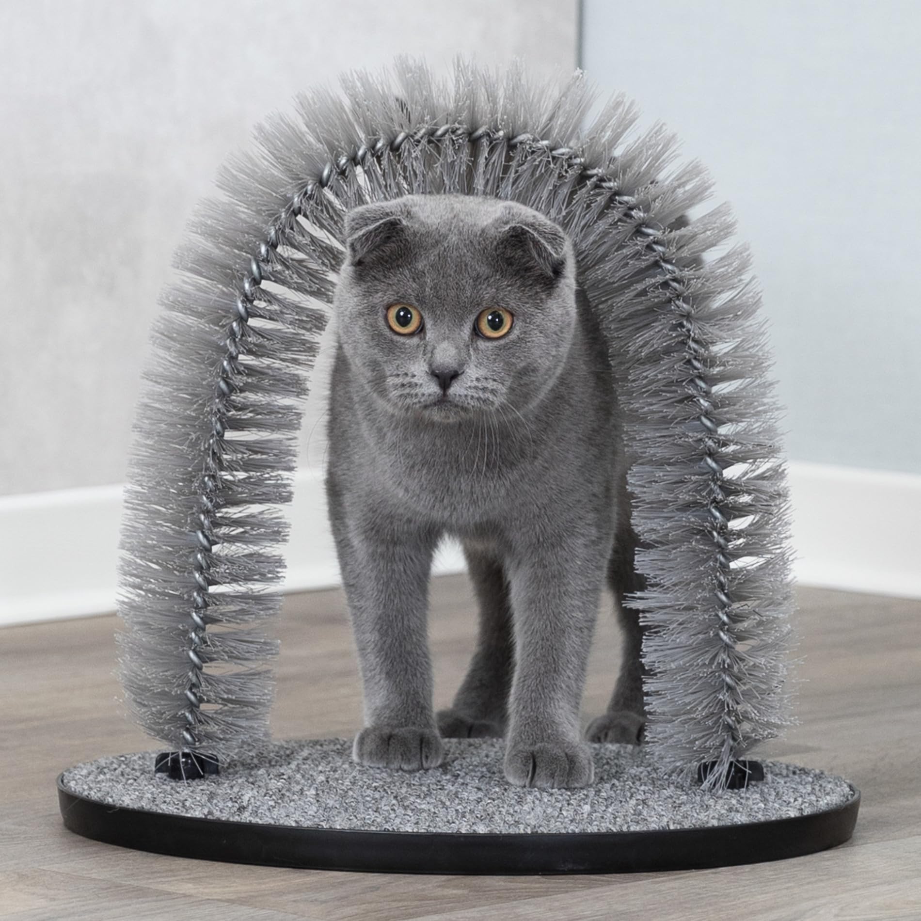 Trixie Jeu Chat Arc pour Massage et Soin du Poil 36 x 33 cm Gris
