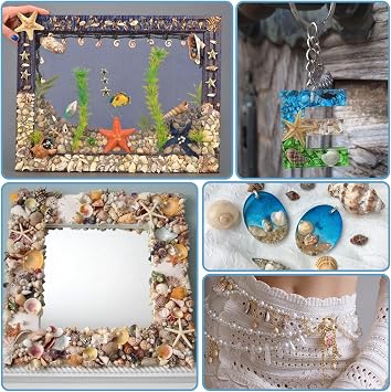 450PCS Small Sea Shells and Mini Starfish Mixed for Crafting
