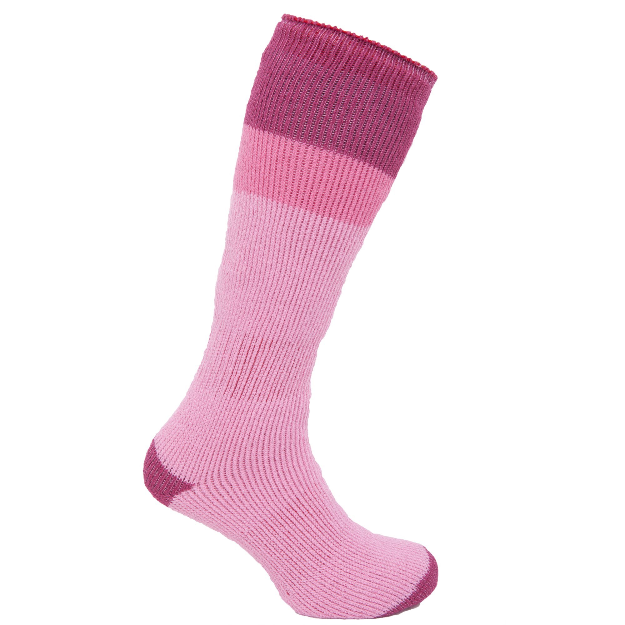Womens/Ladies Heat Holders Extra Warm Ultimate Thermal Ski Socks (2.3 Tog) (6.5-10.5) (Purple)