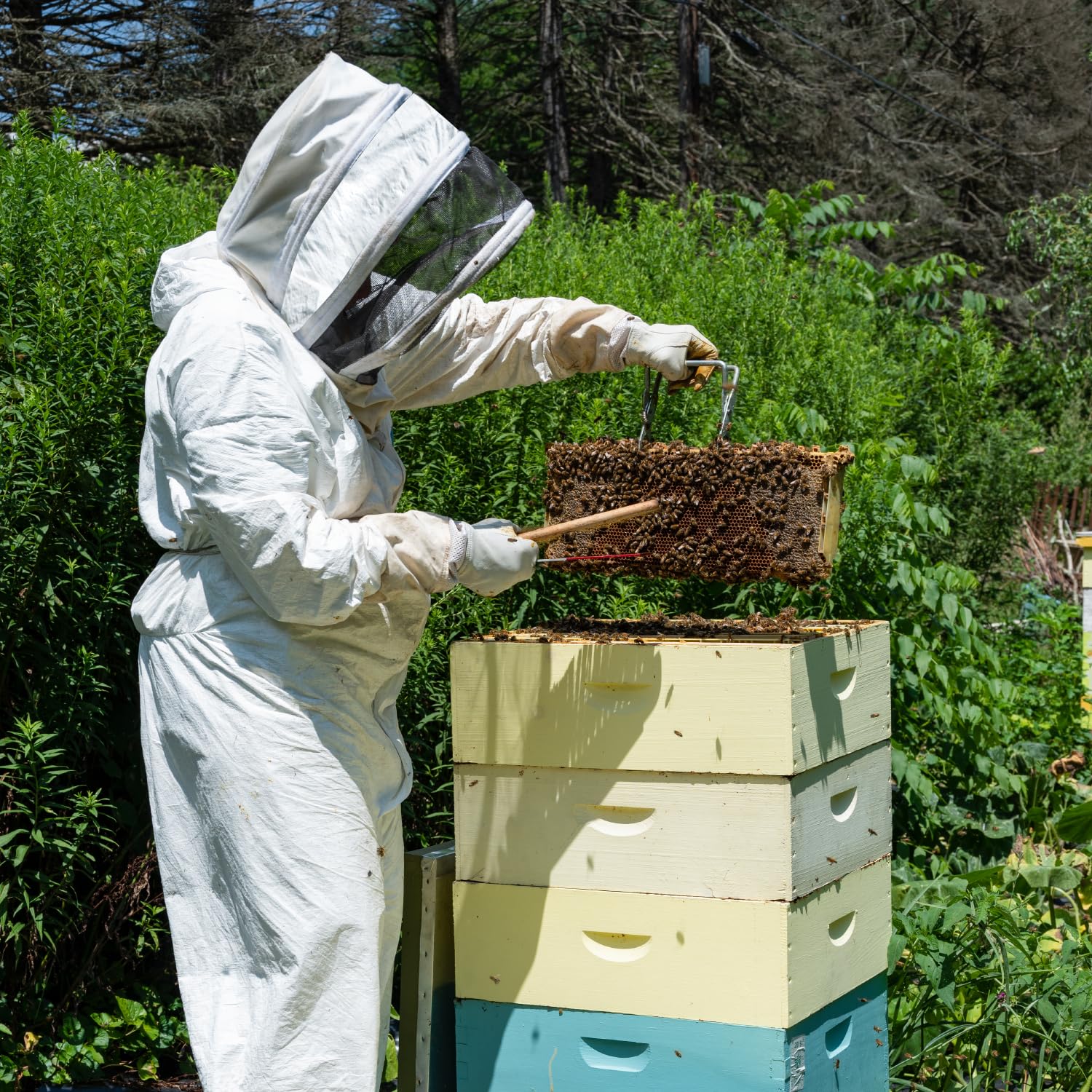 QWORK® XL Imkeranzug, Bienen Schutzkleidung, Imkerjacke mit Schleier, für Professionelle Bienenbisse Verhindern