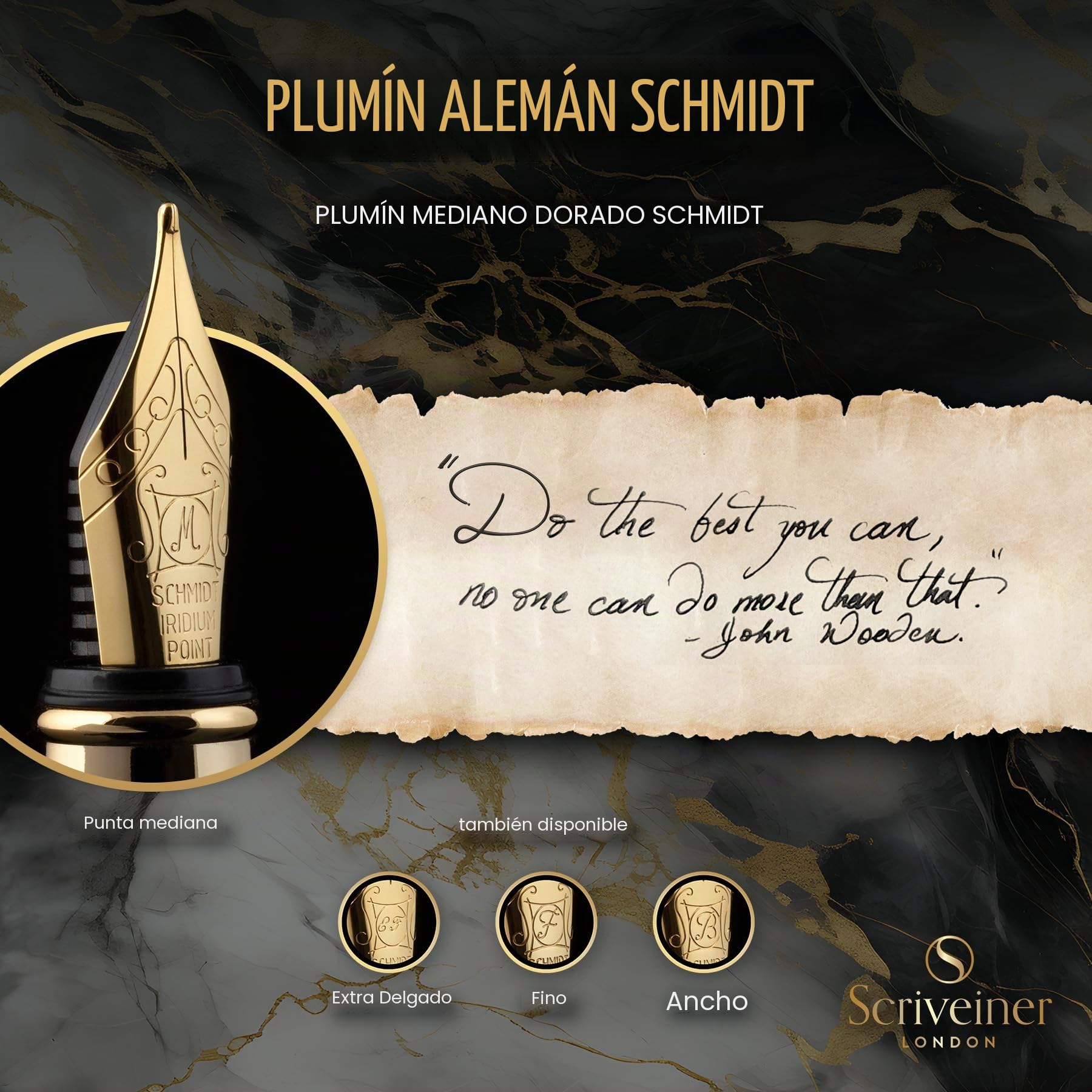 Scriveiner Pluma Estilográfica Negra con Detalles de Chapado en oro auténtico, Plumilla y Convertidor Instalado Schmidt, Incluye Dos Cartuchos de Tinta, Azul y Negro