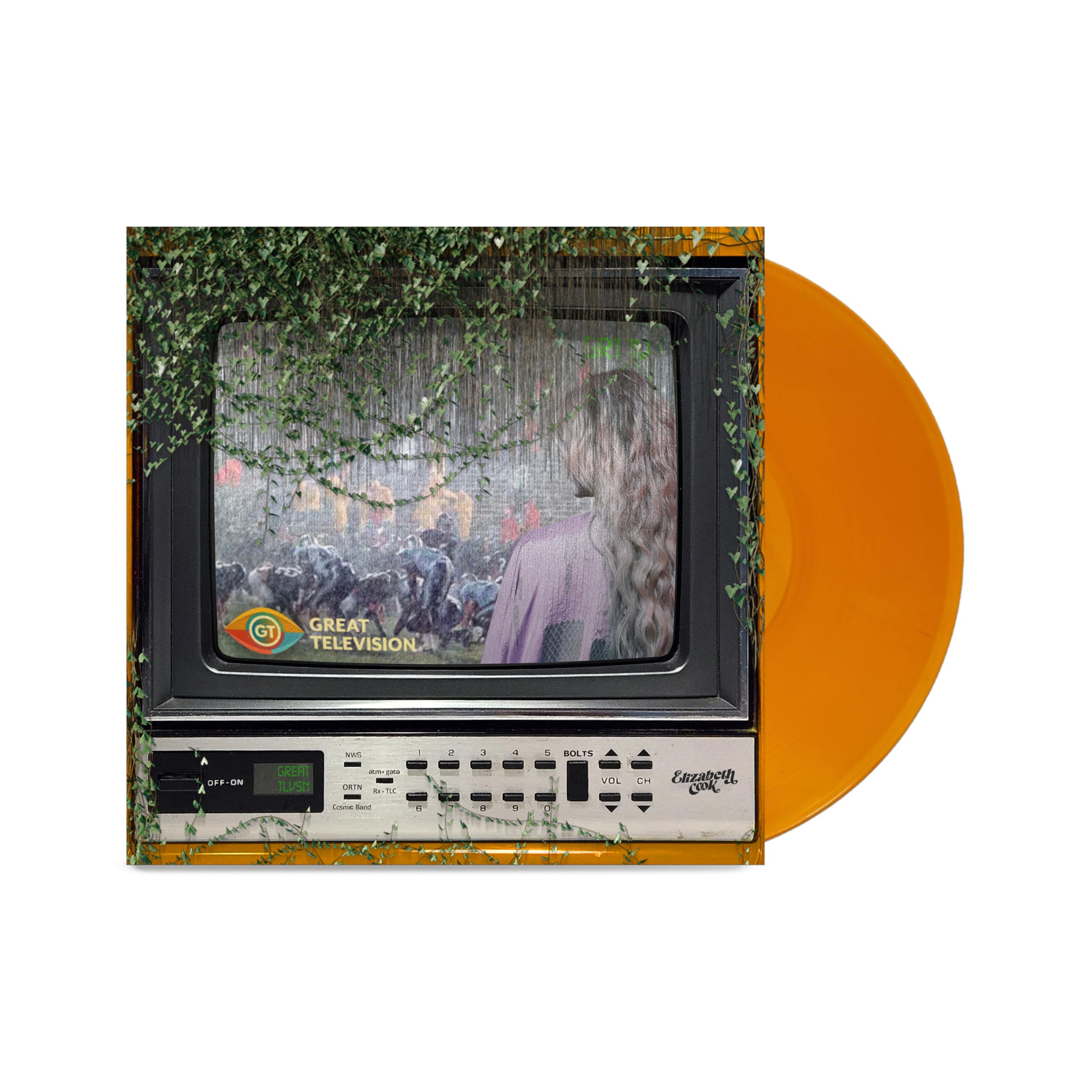 Great Television [VINYL]