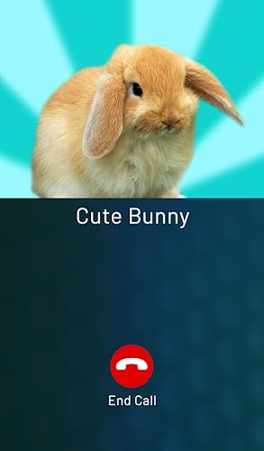 Cute Pets Prank Call (Cat, Dog, Rabbit, Hamster and more!)