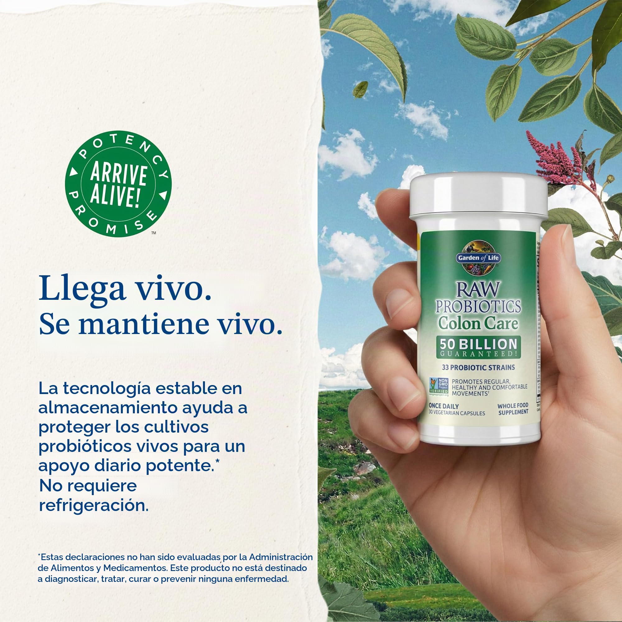 Garden of Life Los Probióticos Prima Colon Care (No Perecedero) - 30 Vcaps 80 g
