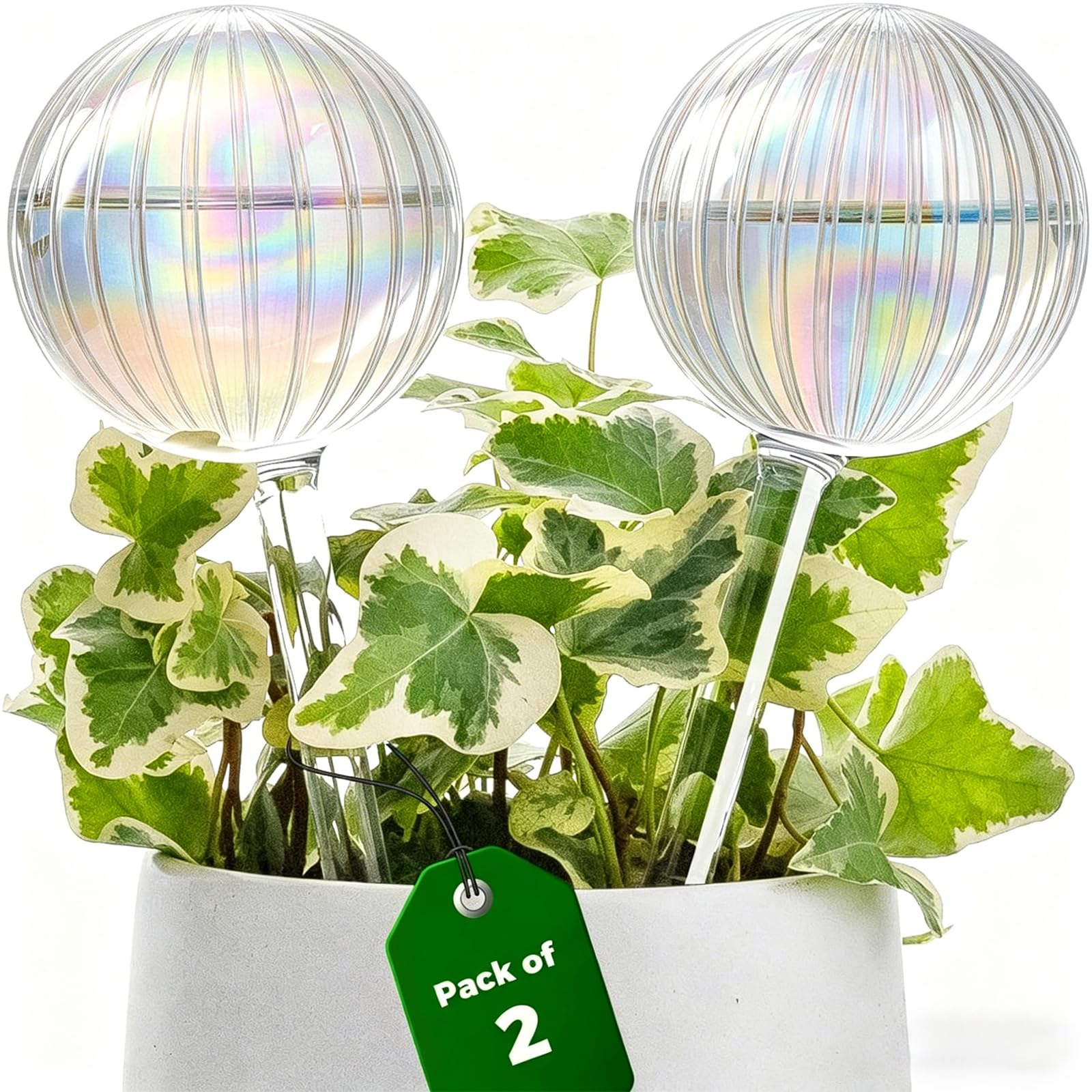 2Pcs Plant Watering Globes, Spherical Stripe Clear Glass Self-Plant Watering Devices with Automatic Irrigation System, Watering Globes for Indoor Plants, Medium Size Automatic Watering Spikes