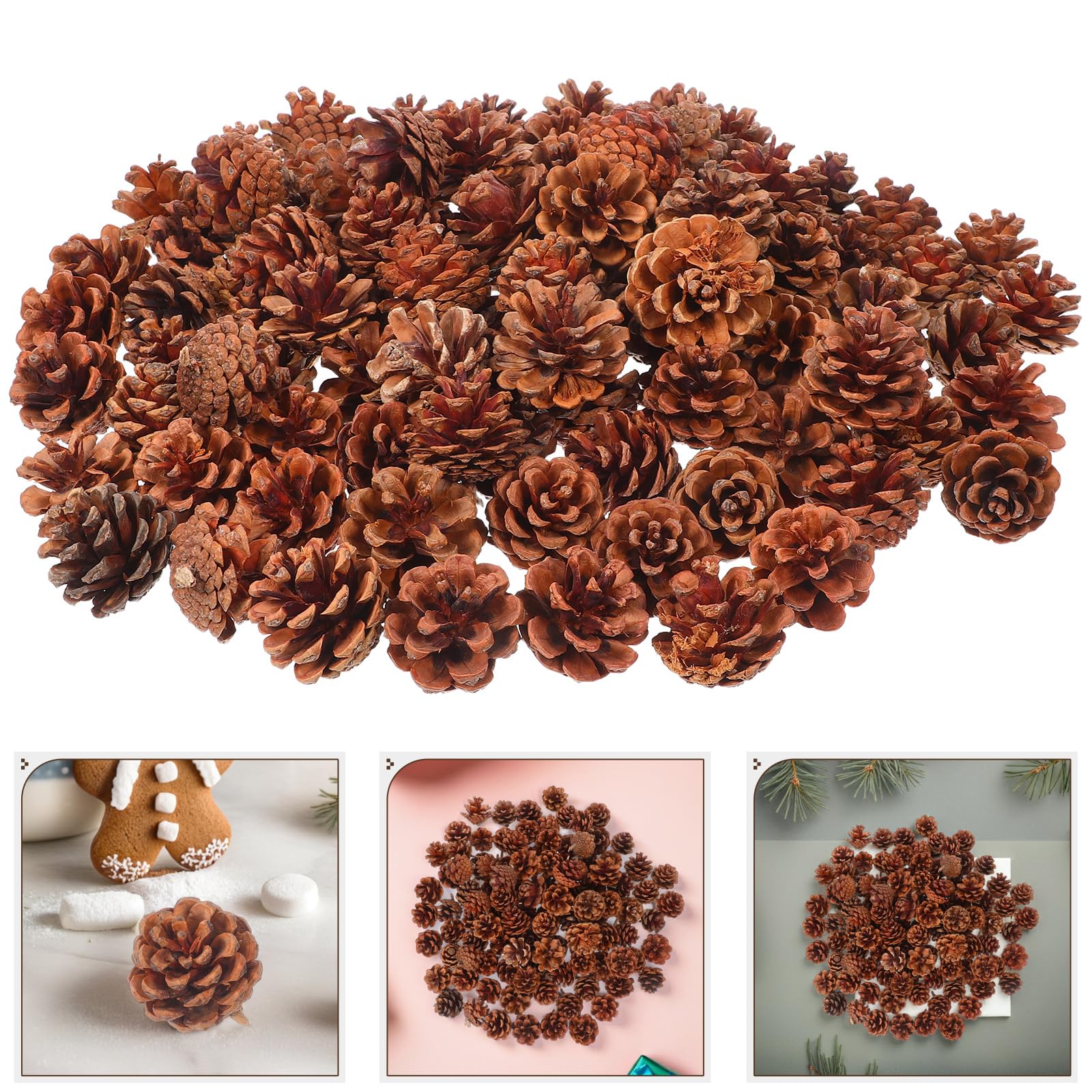 Ciieeo 130stücke Mini-Natur-kiefernzapfen für Herbst und Winterdekoration als Vasenfüller für Thanksgiving und Weihnachtsbastelarbeiten für DIY-projekte und Saisonale Dekorationen
