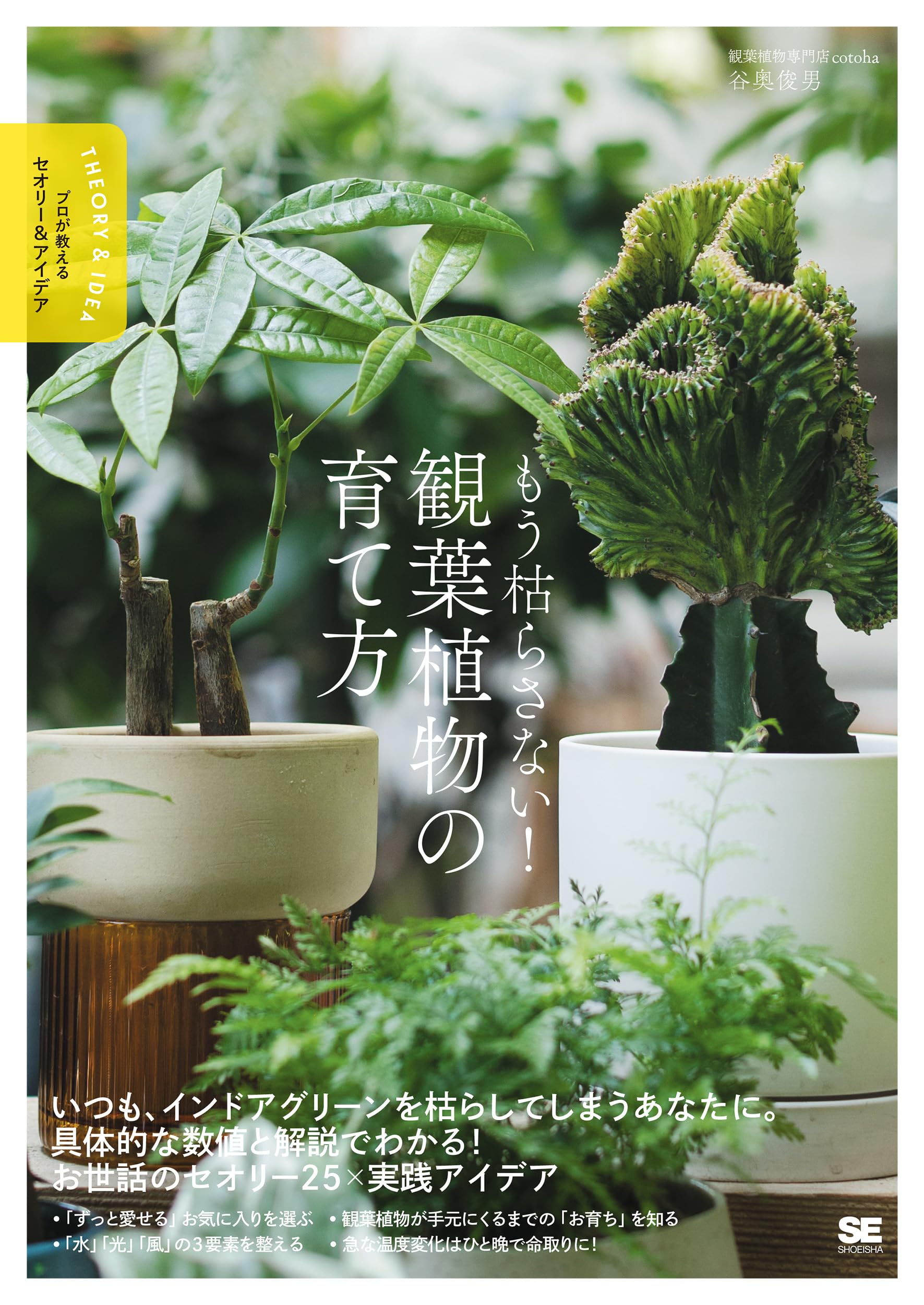 植物とお話しする法 91Jc8pUBArL._UF350,350_QL80_.jpg