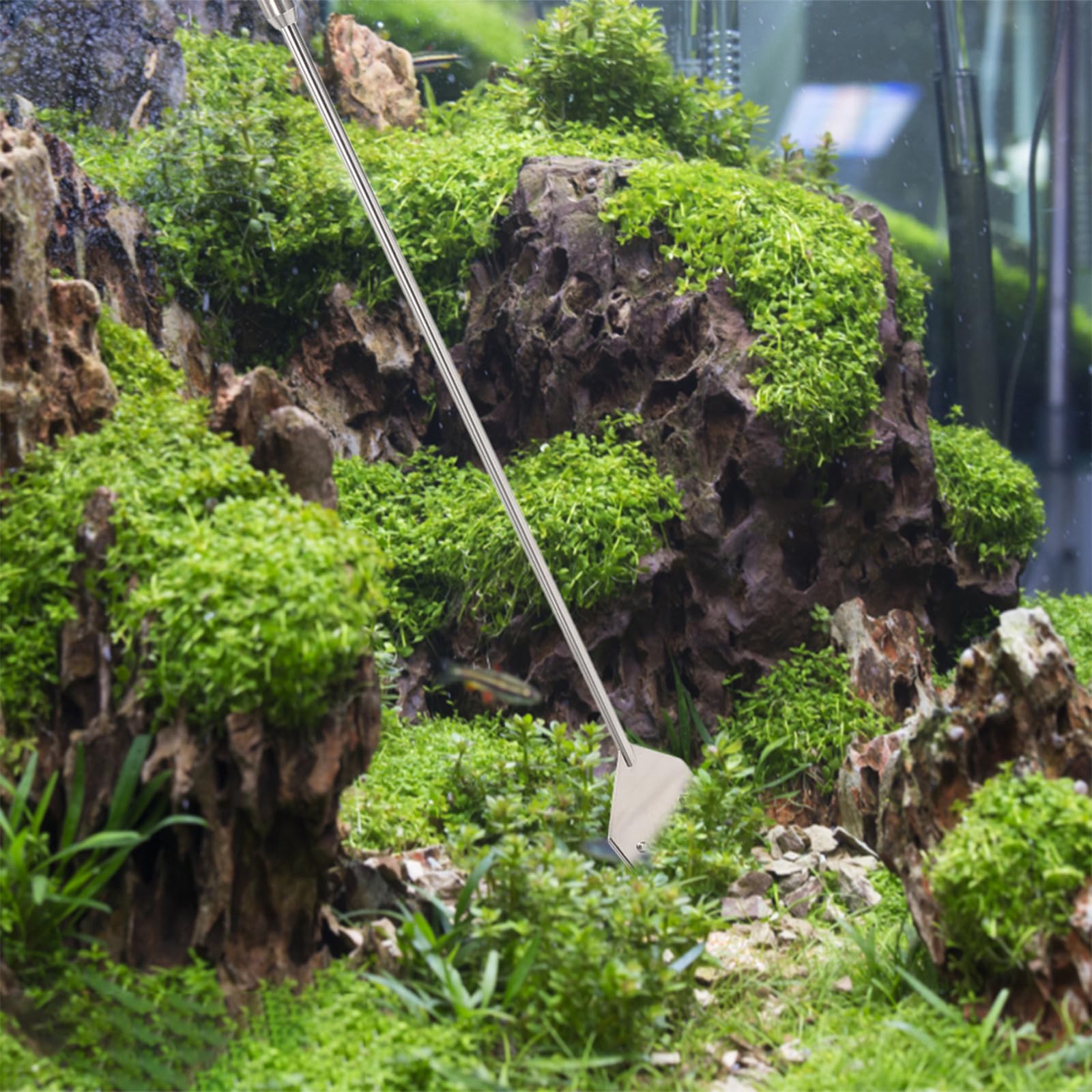 Abaodam Kit D'outils D'aquascaping et Grattoir à Algues Verre pour Nettoyage Rapide Pince et Ciseaux pour Aquarium en Métal Argenté