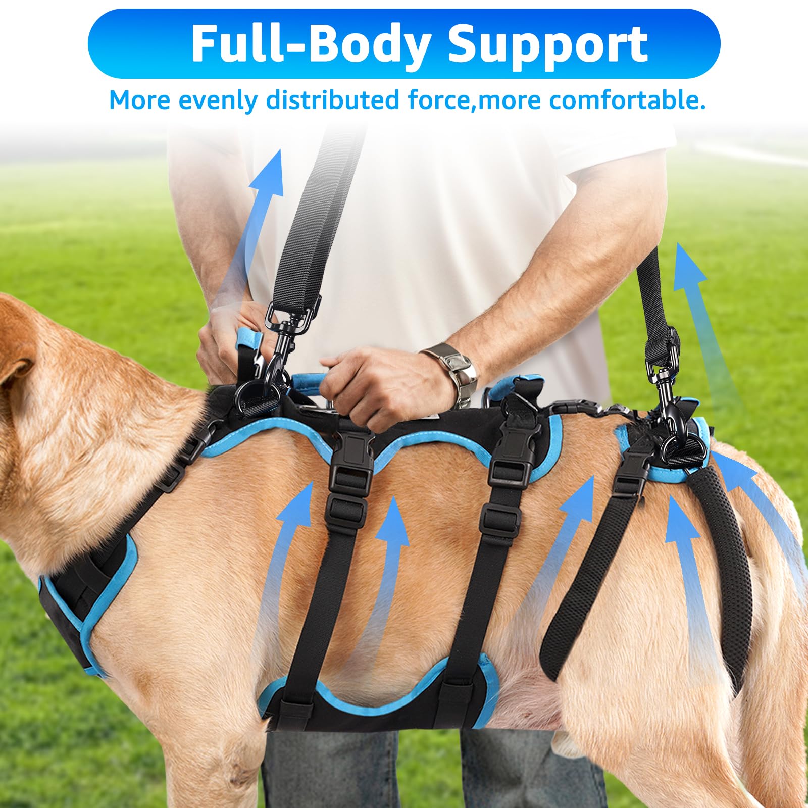Lafoty Imbracatura per Sollevamento per Cani Maschi Grandi – Imbracatura 2 in 1 per Sollevamento, Supporto per Zampe Posteriori e Assistenza alla Mobilità per Cani Anziani (Nero, Grande)