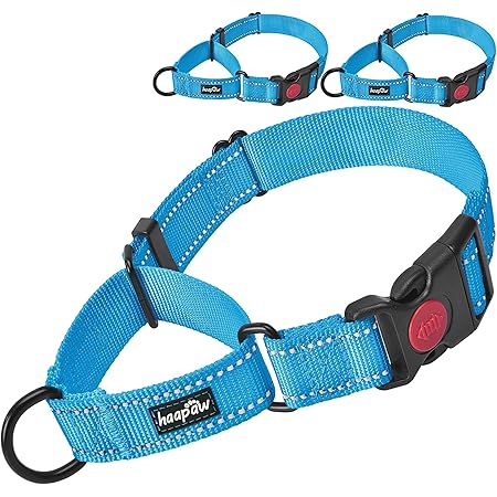 ezydog checkmate dog collar
