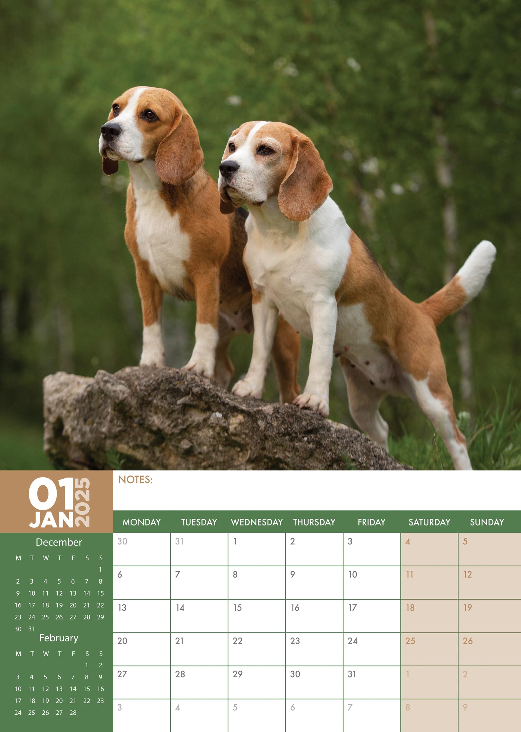 Beagle 2025 - A3 Size Wirobound Calendar - Image 3